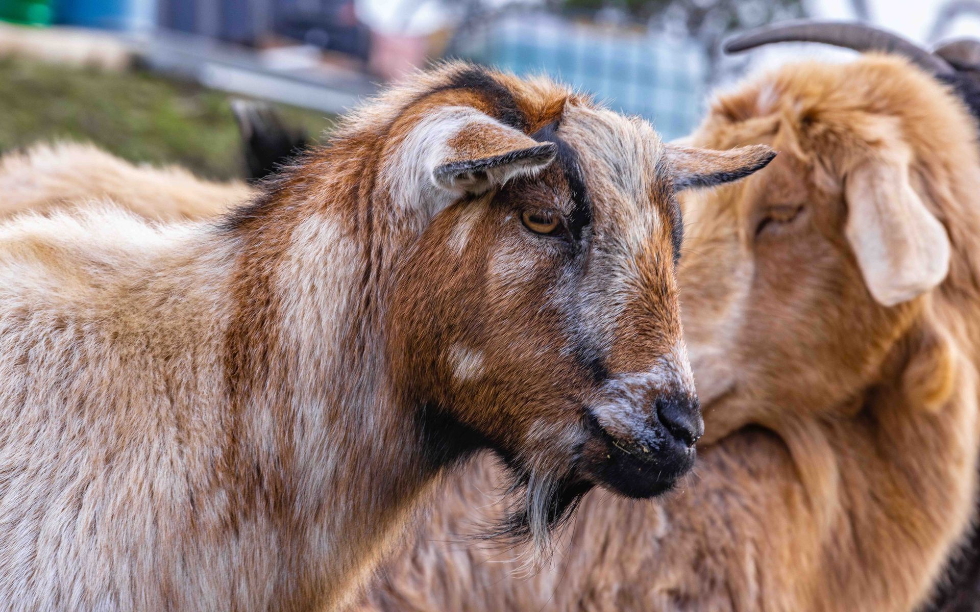 One-Off Gift of Kindness (Donation)