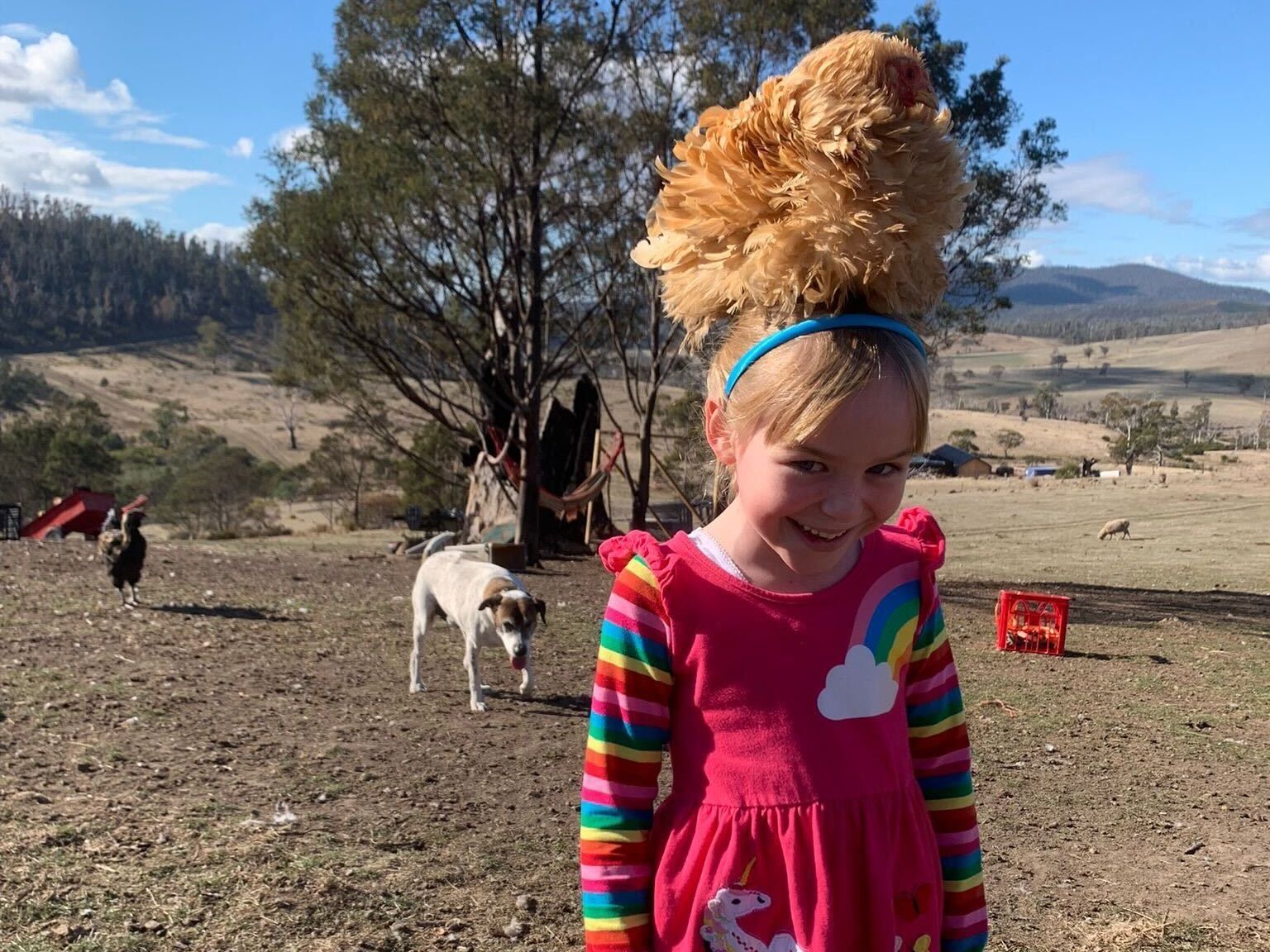 A little girl in a pink dress is standing in a field with a chicken on her head.