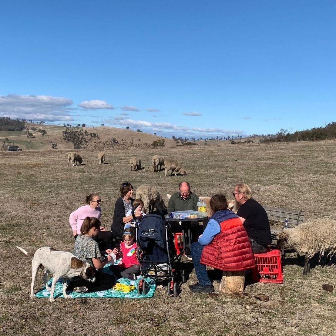 A group of people are having a picnic in a field with sheep.