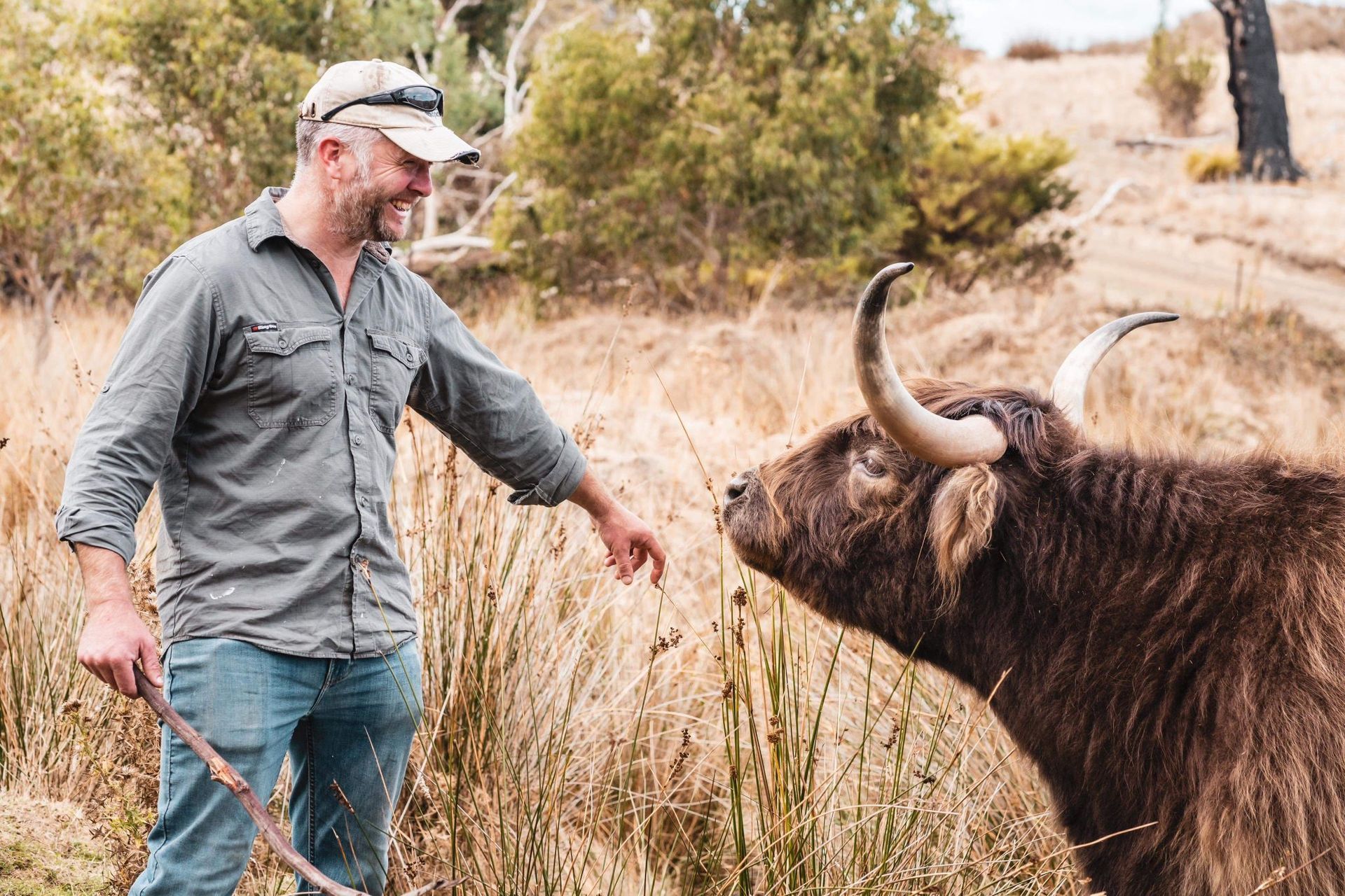 Ian is petting a highland cow in a field.