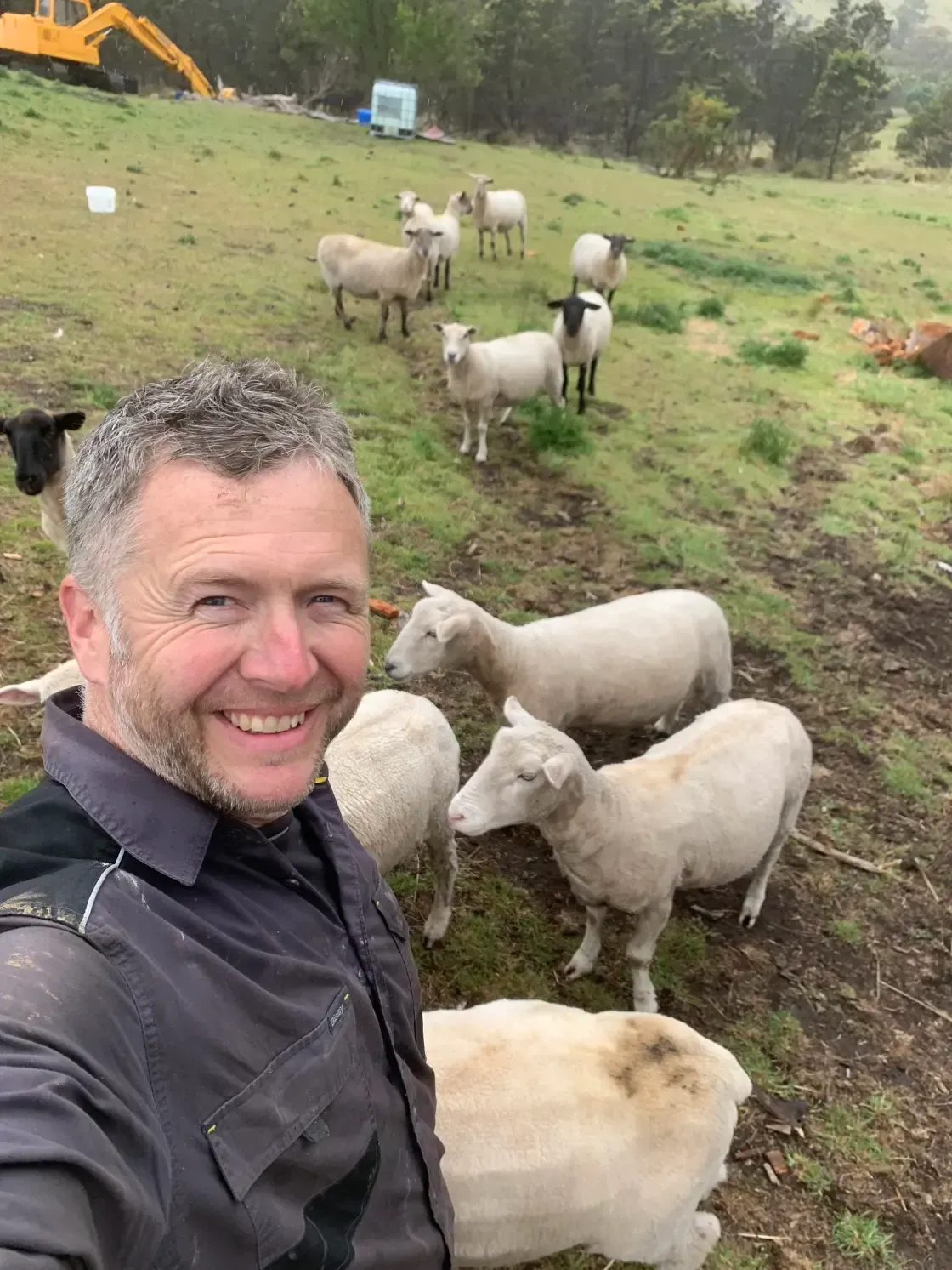 A man is standing in front of a herd of sheep in a field.