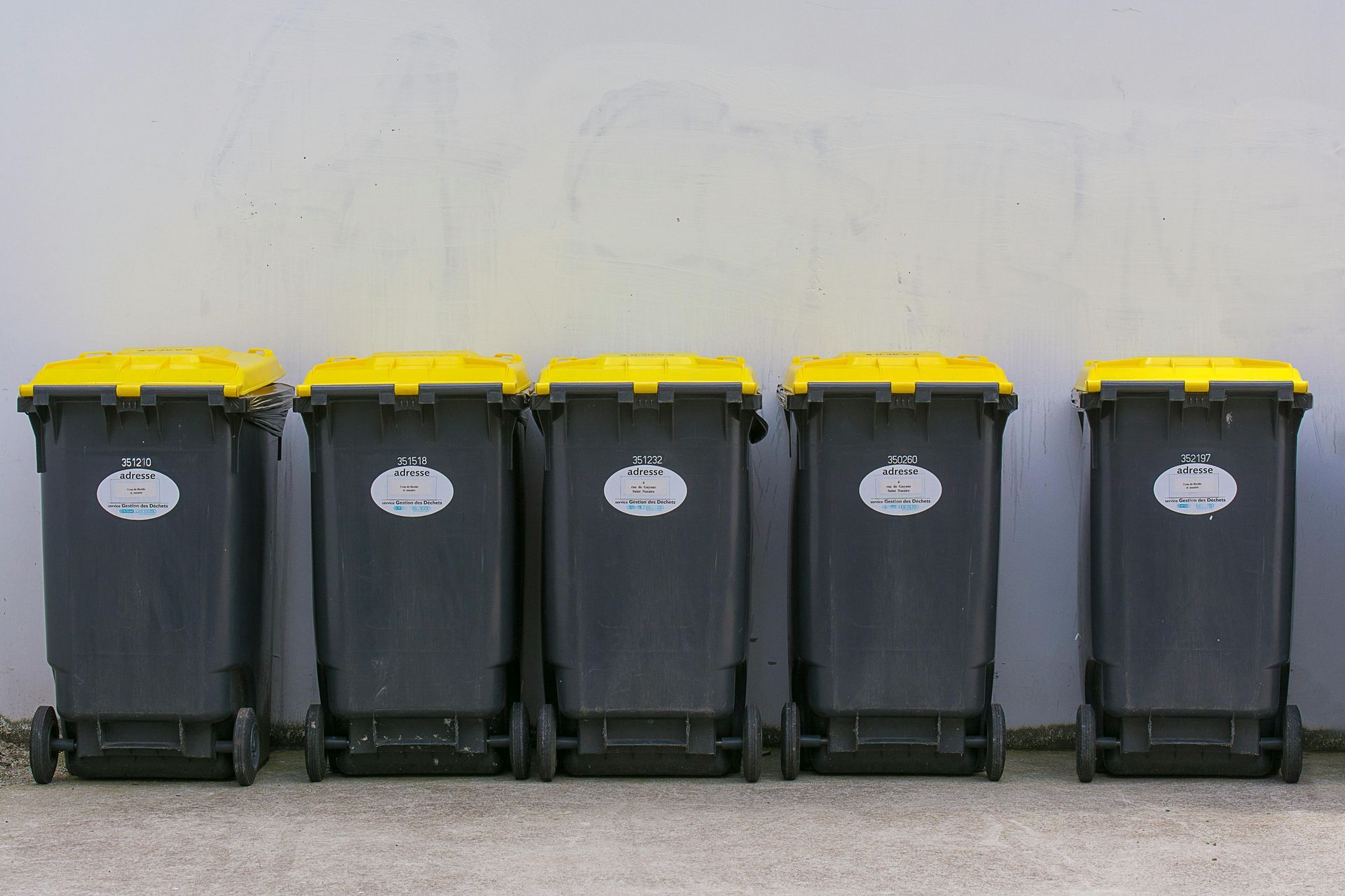 Five black trash bins with yellow lids lined up against a white wall.