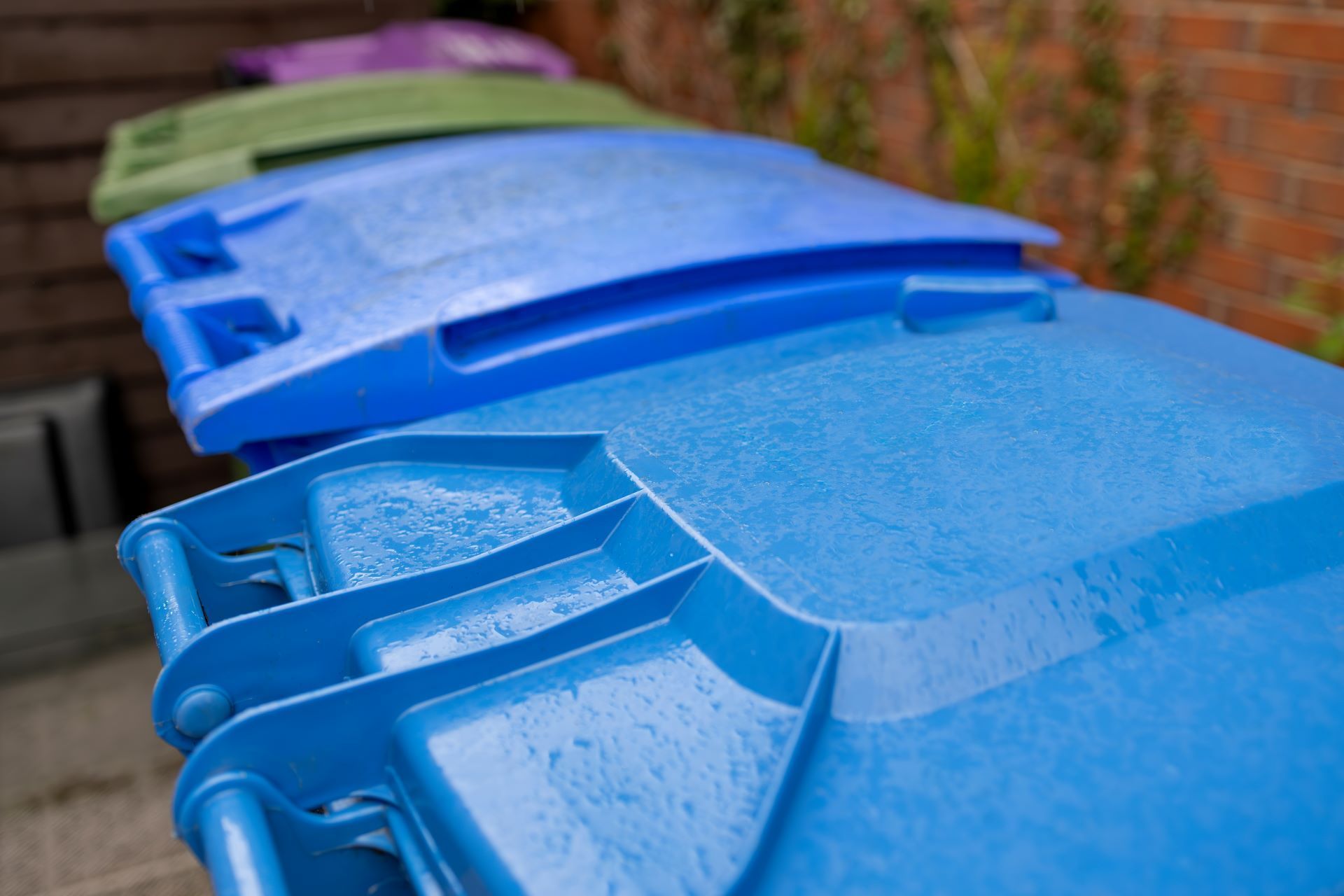 Blue, green, and purple recycling bins in a row, outside.
