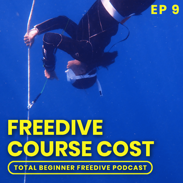 freediving course cost