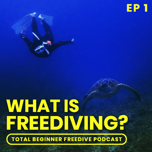 what is freediving?