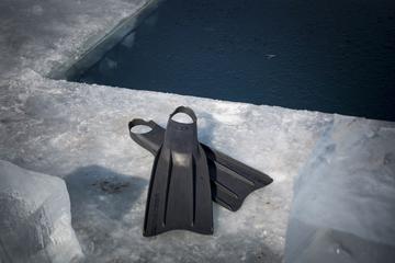 freedive fins by the pool