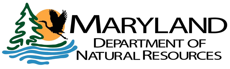 Maryland Department of Natural Resources logo: Silhouette of a bird flying in front of an orange sun, a pine tree, and water.