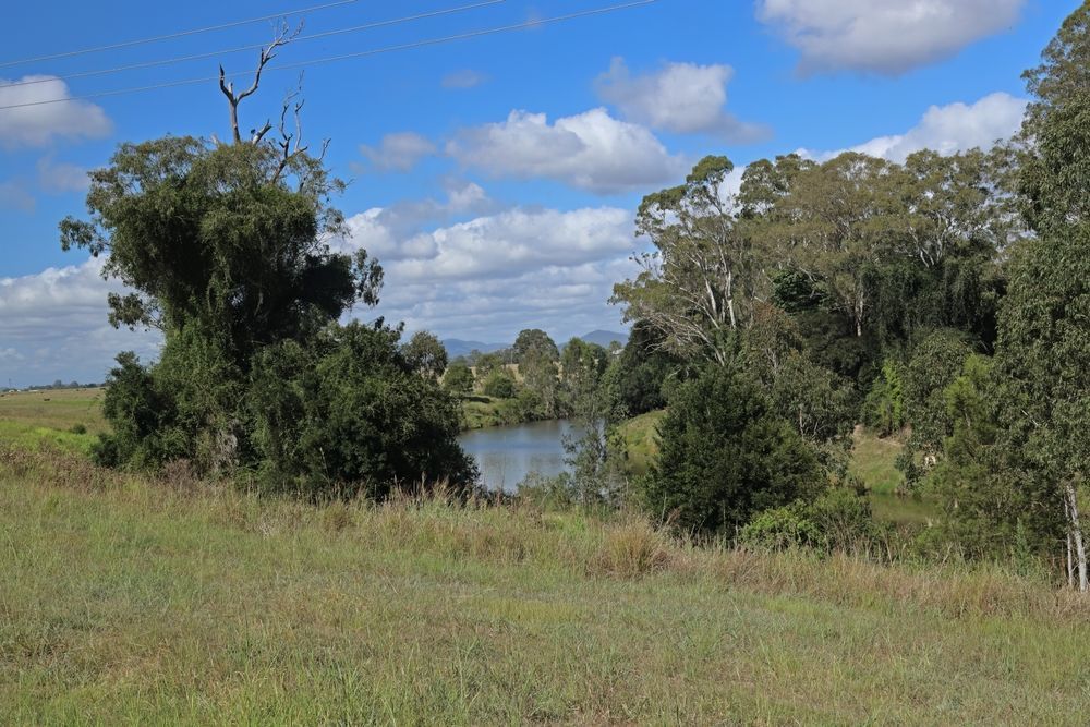 A Grassy Field With Trees and a River in Logan — Totally Skip Bins in Logan, QLD