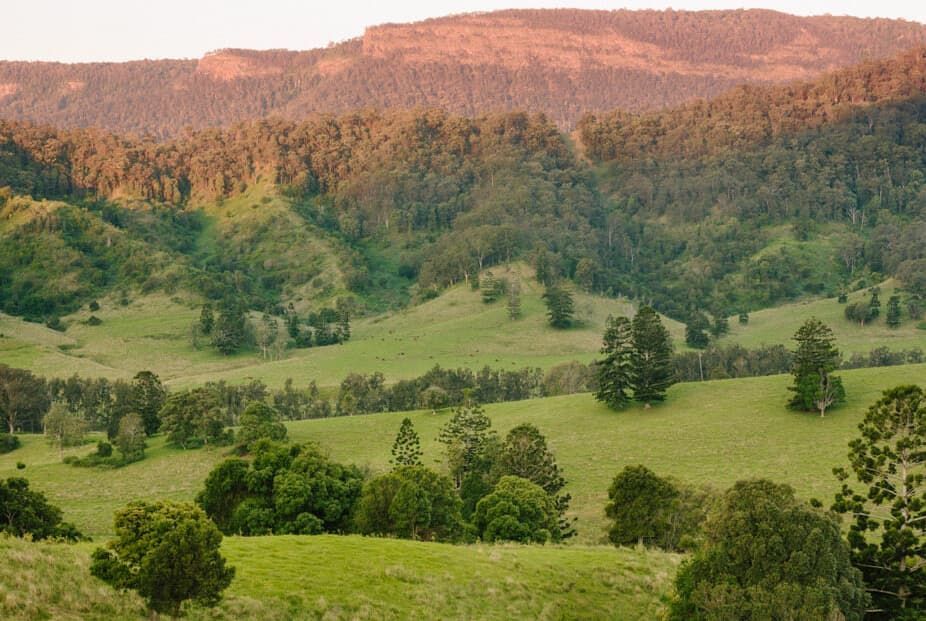 A Lush Green Hillside With Trees and Mountains in the Background — Totally Skip Bins in Kooralbyn, QLD