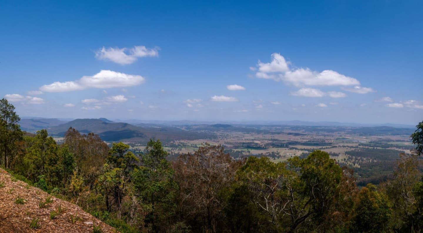 A View of a Valley From a Hill With Trees — Totally Skip Bins in Tamborine, QLD