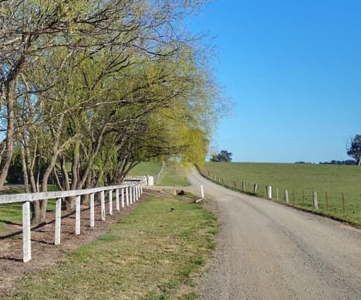 A Dirt Road With a White Fence Going Through a Grassy Field — Totally Skip Bins in Veresdale, QLD