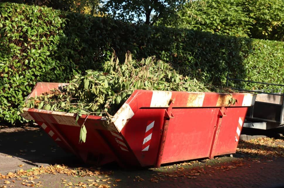 A Red Dumpster Filled With Leaves is Sitting on the Side of the Road — Totally Skip Bins in Kooralbyn, QLD