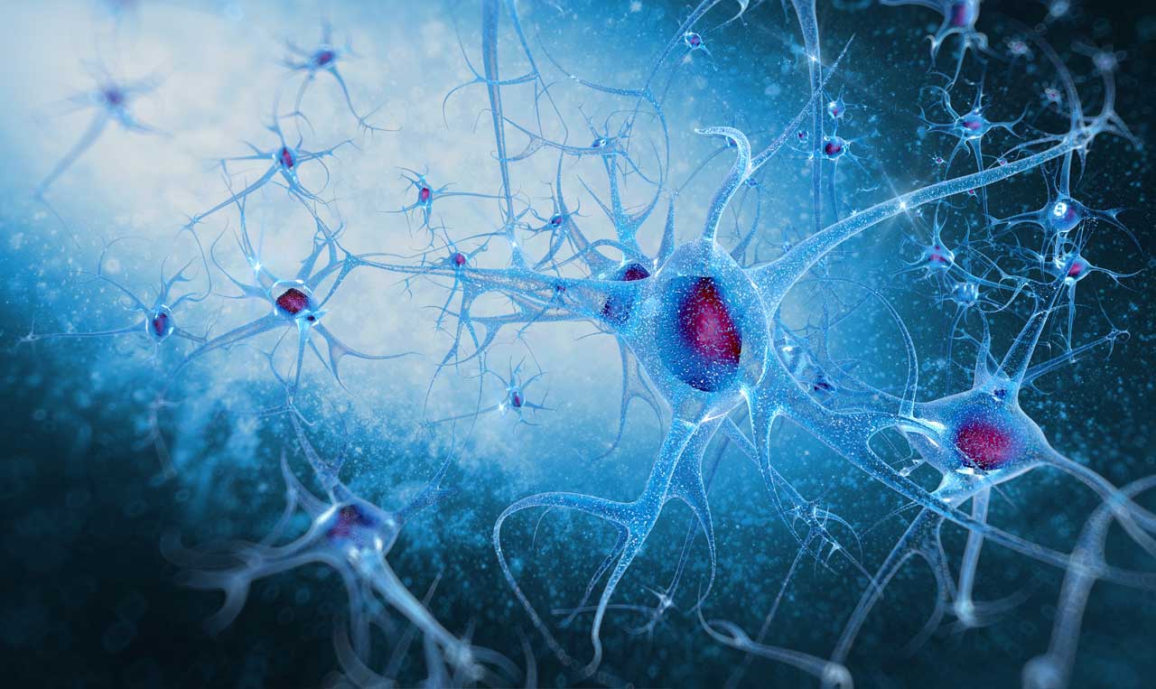 DR. ROBERTO CARO DEL CASTILLO B.