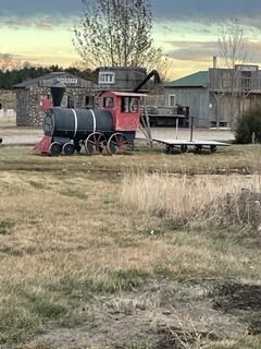 An old train is parked in the middle of a field.