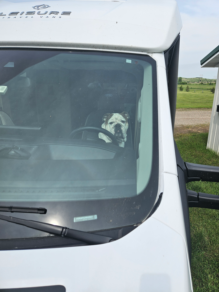 A dog is sitting in the driver 's seat of a rv