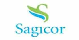 A blue and green logo for a company called sagicor