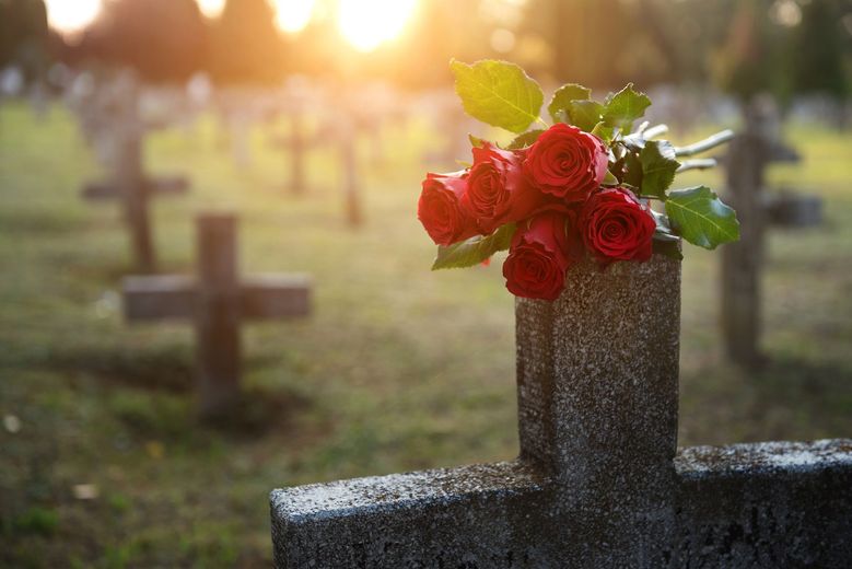 Rose rosse su una lapide grigia in un cimitero illuminato dal sole al tramonto.