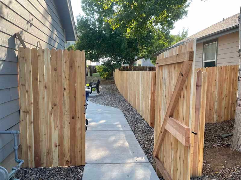 A new wooden picket fence with an open gate creates a path between two residential houses over a concrete walkway.