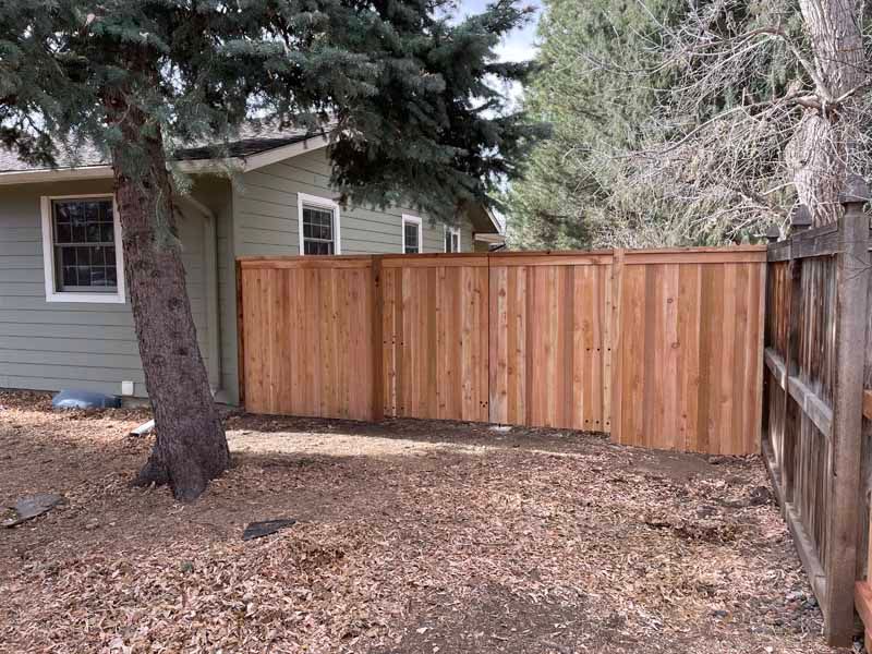 A newly installed wooden fence stands in a backyard next to a house with sage-green siding and a large pine tree.