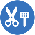 Surgery Icon