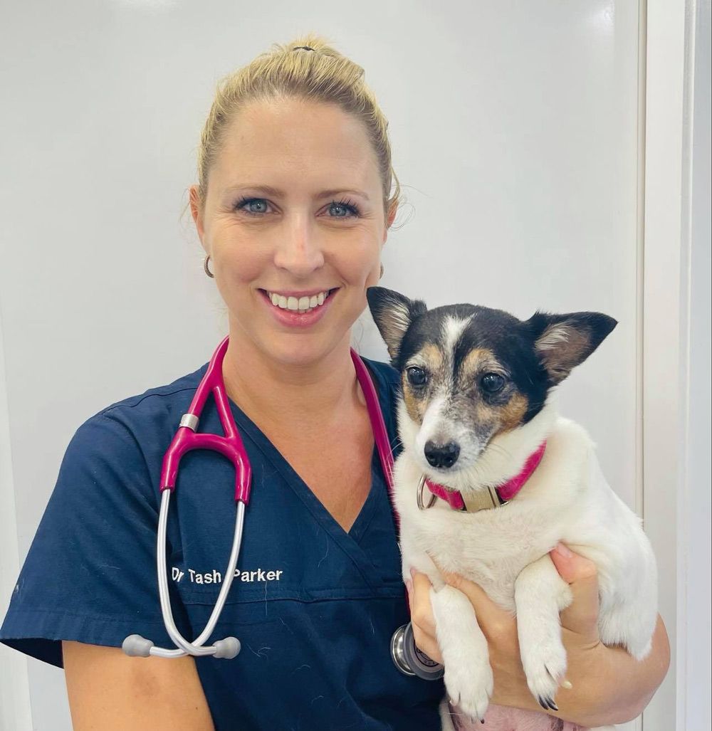 A Young Female Veterinarian Holding A Pet
