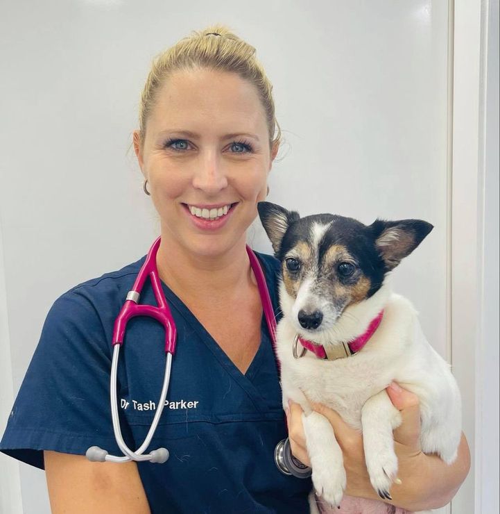 A Young Female Veterinarian Holding A Pet