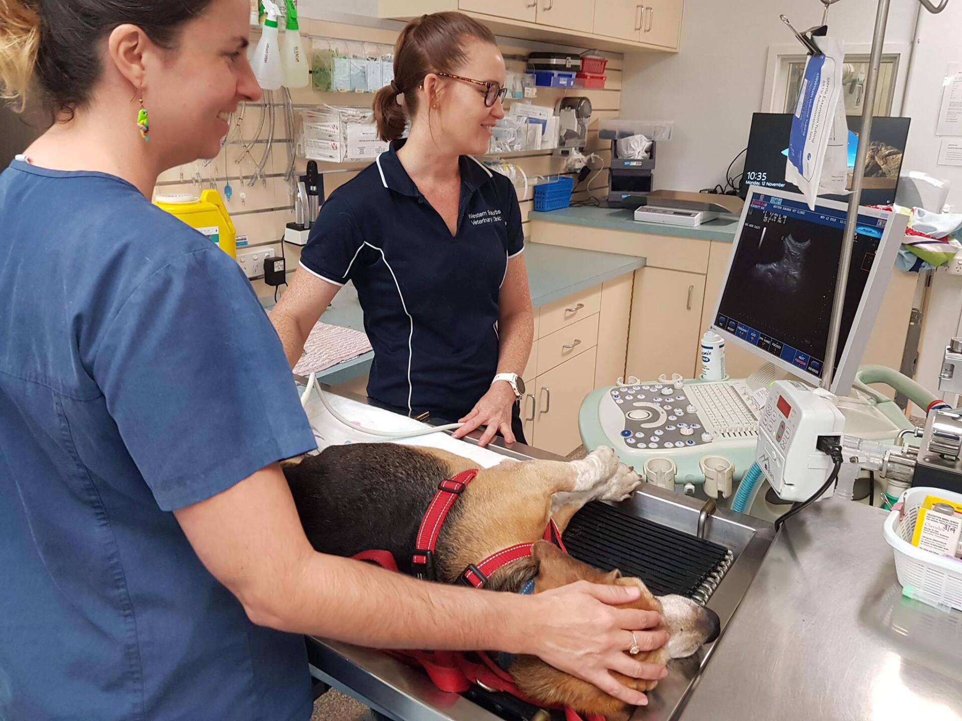 Imaging Equipment - Vet Clinic in Townsville, QLD