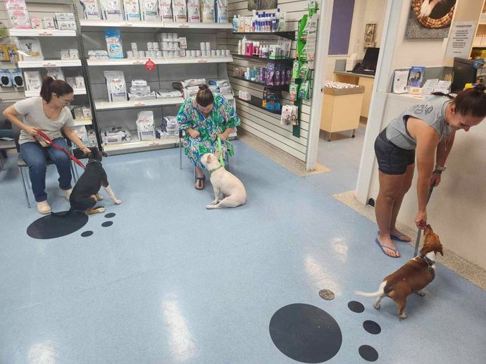Pets With Their Owners