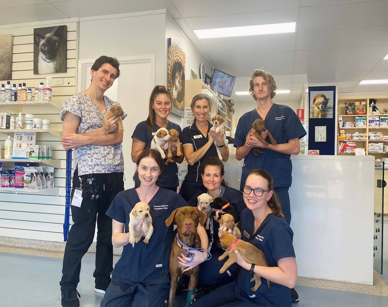 Western Suburbs Veterinary Clinic Staff - Vet Clinic in Townsville, QLD