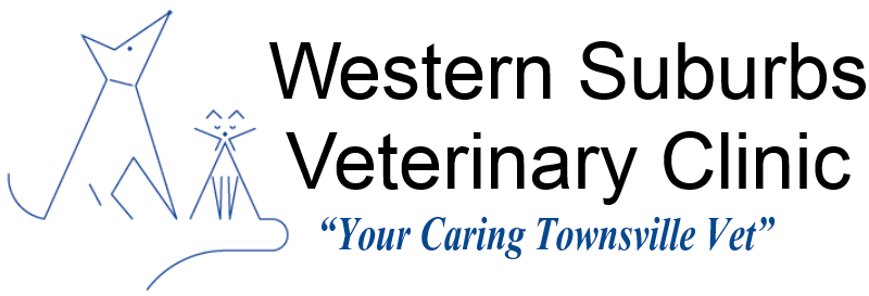 Western Suburbs Veterinary Clinic—Local Vet Clinic in Townsville