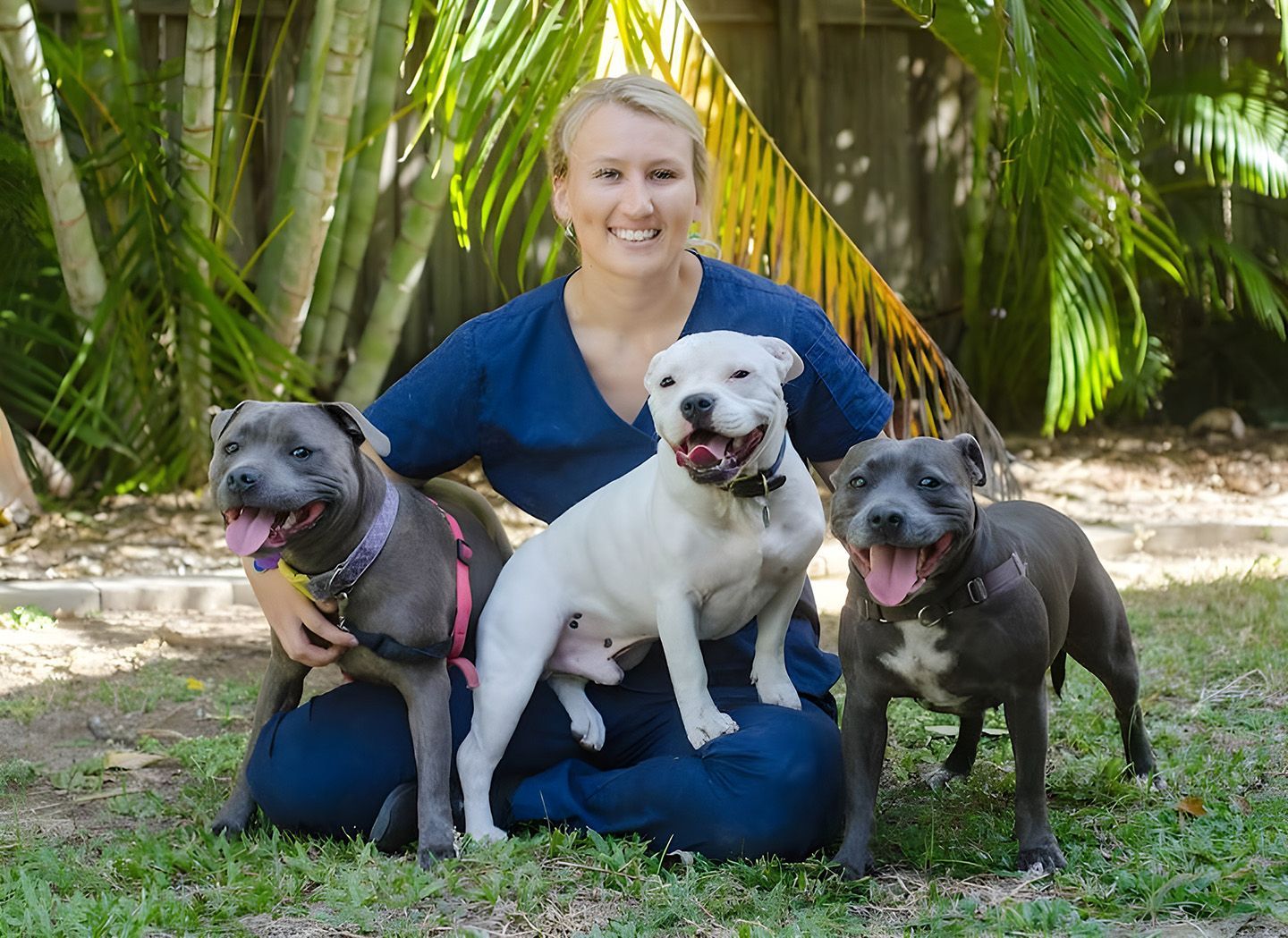 A Smiling Veterinary Professional Sitting Outside With Three Dogs