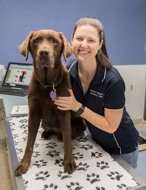 Veterinary Doctor with A Dog