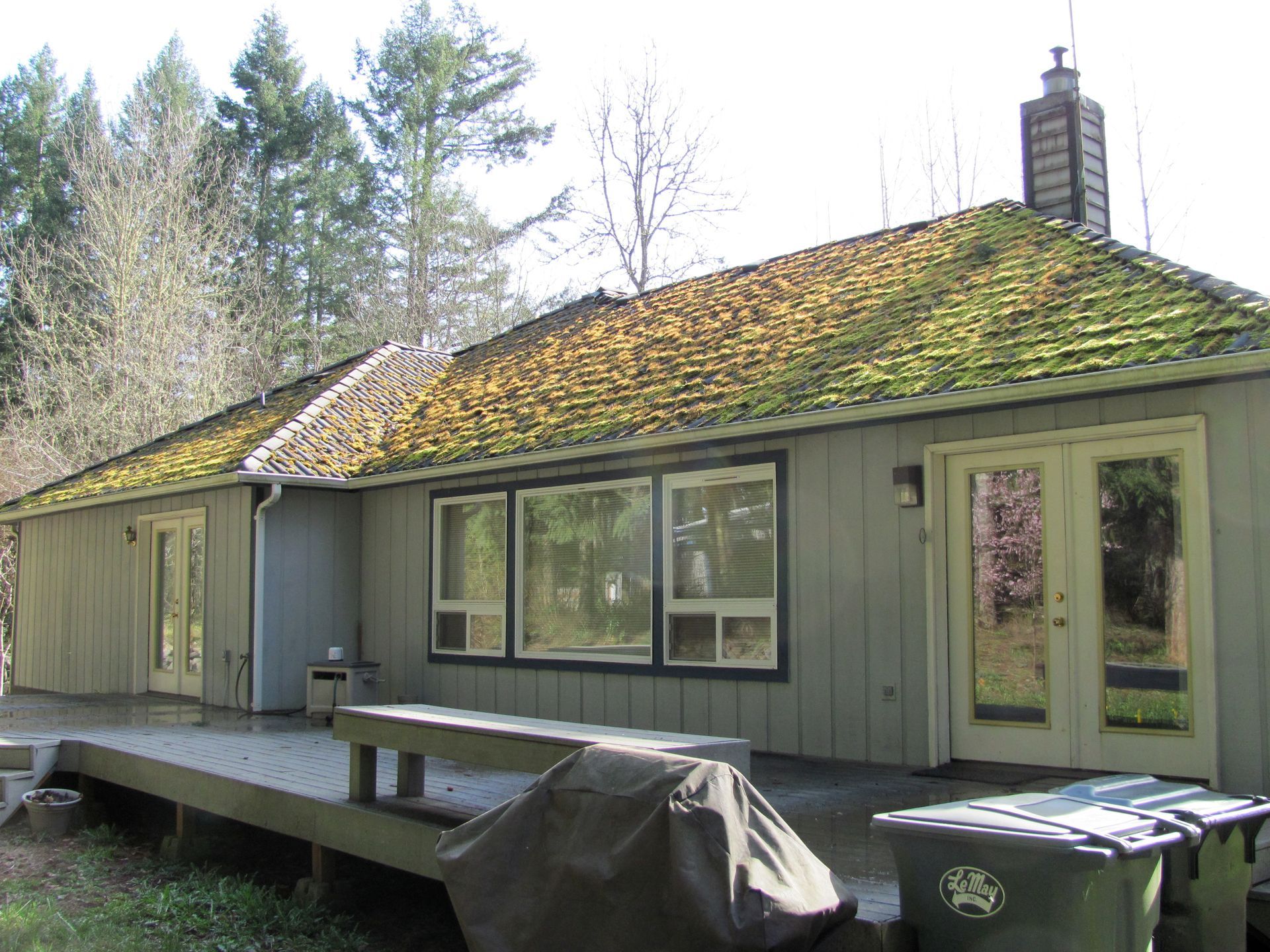 Red clay tile roof covered in green moss.