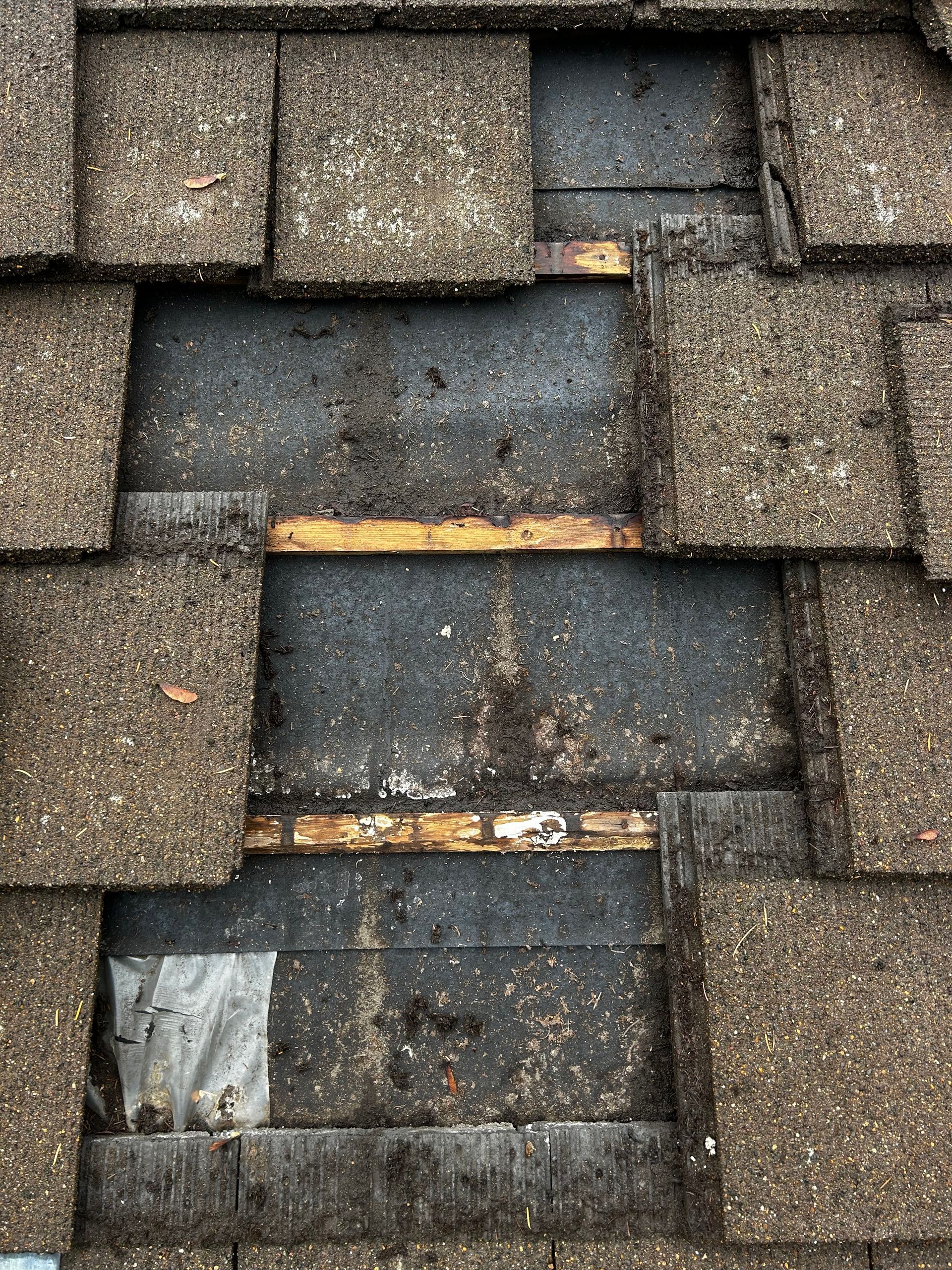 Damaged asphalt shingle roof, shingles missing, exposing underlayment.