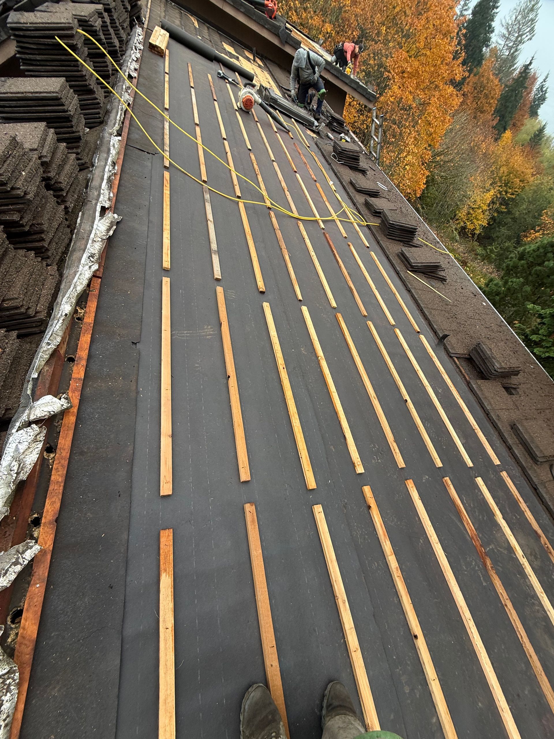 Dark gray tiled rooftops against a clear blue sky, with two chimneys visible.