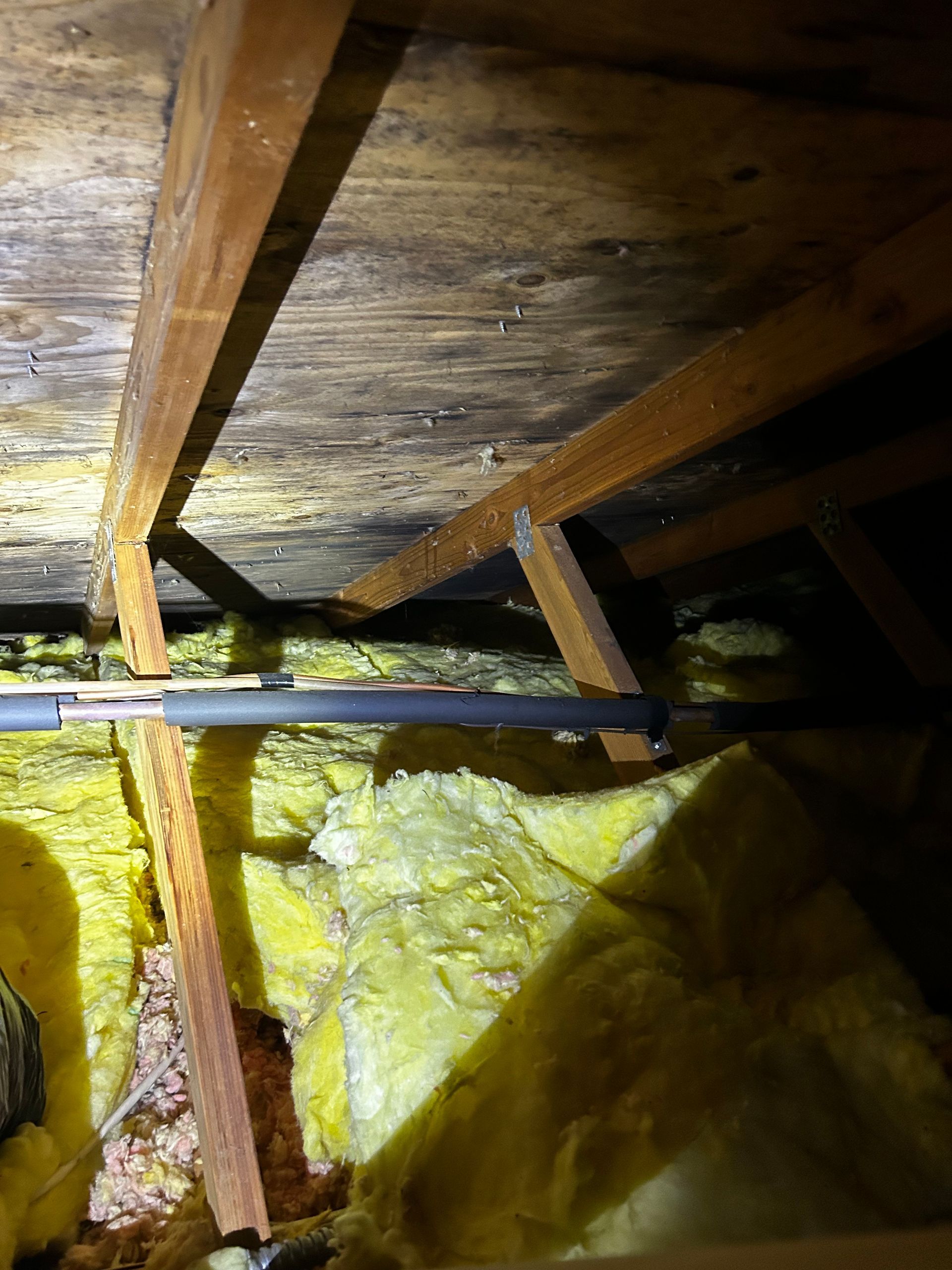 Mold growth on a white ceiling and decorative trim, gray and black discoloration.