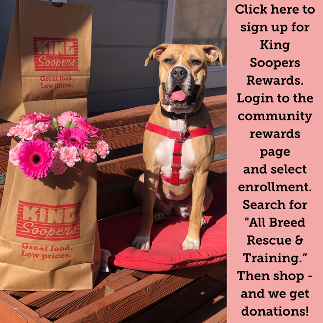 Infographic about King Soopers Rewards with a happy boxer mix next to flowers.