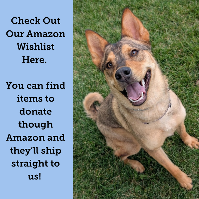 Infographic directing website visitors to an Amazon Wish List adjacent from a grinning husky mix.