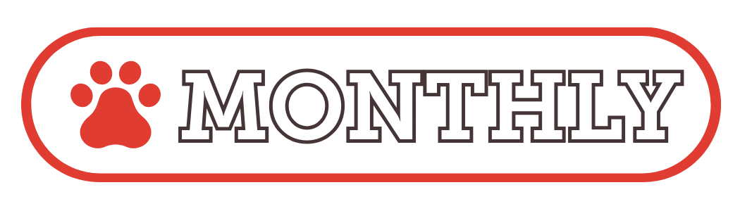 Set up a recurring donation!