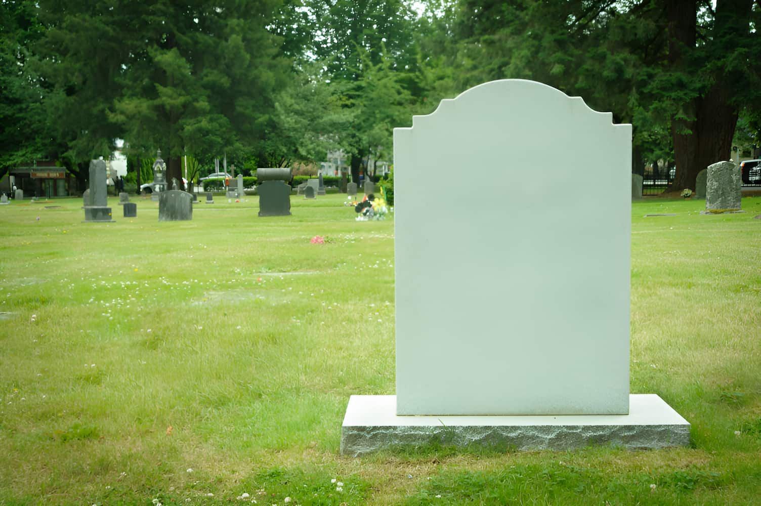 An Empty Grave In A Cemetery With Trees In The Background — Mid Coast Monuments In Wauchope, NSW
