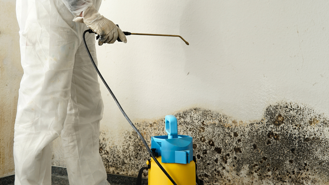A person in a protective suit sprays a chemical onto a wall covered in dark, extensive mold growth.