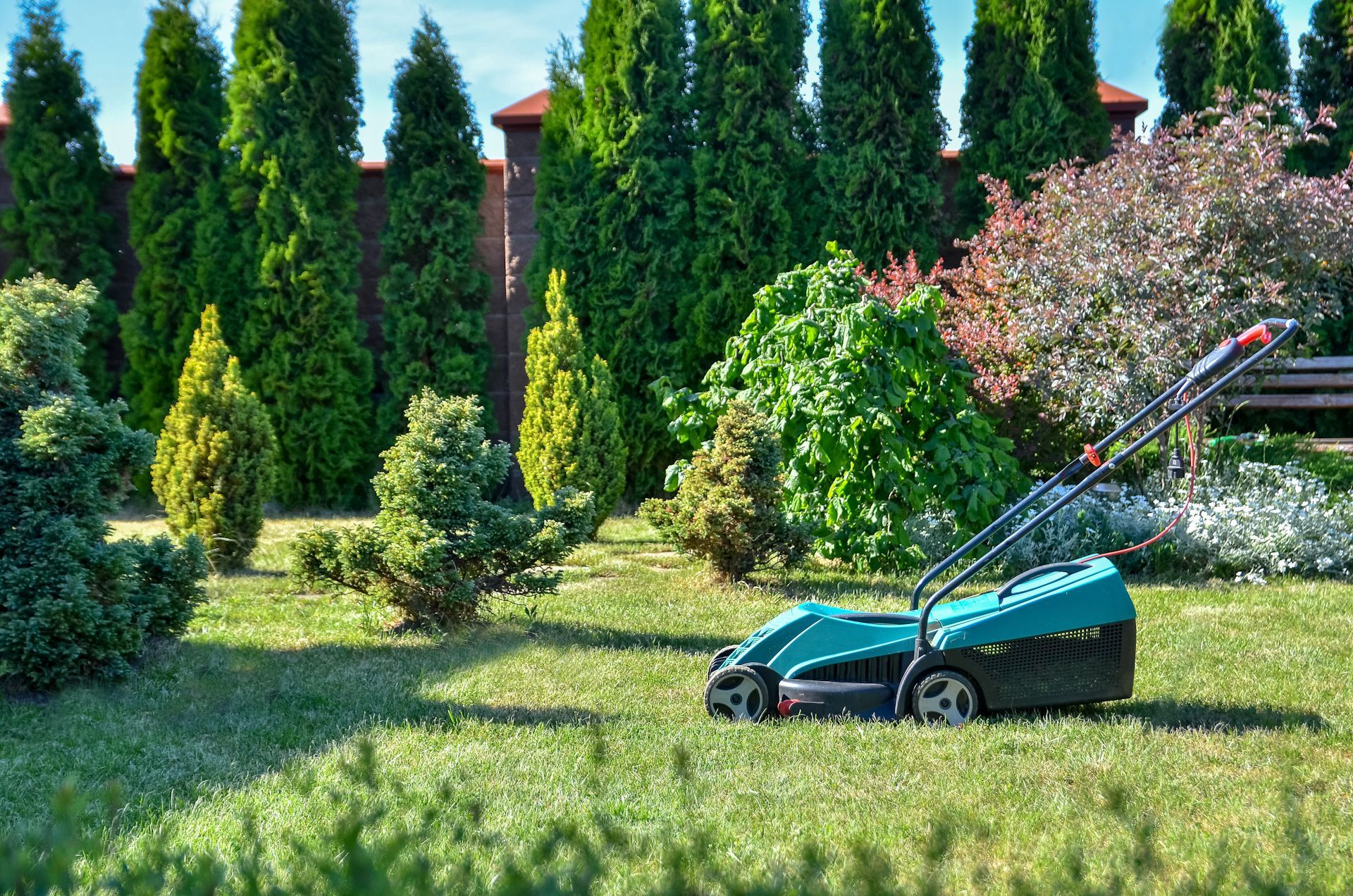 A lawn mower is cutting a lush green lawn in a garden.