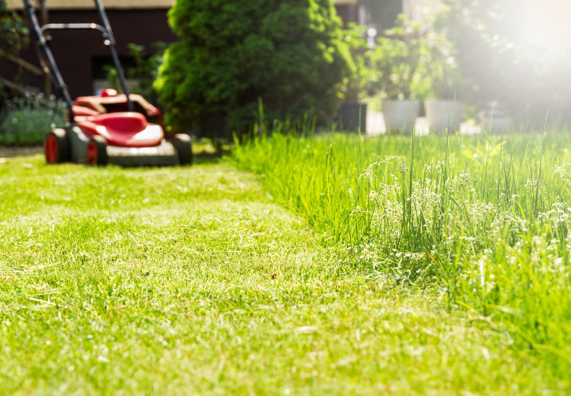 A red lawn mower is cutting a lush green lawn.