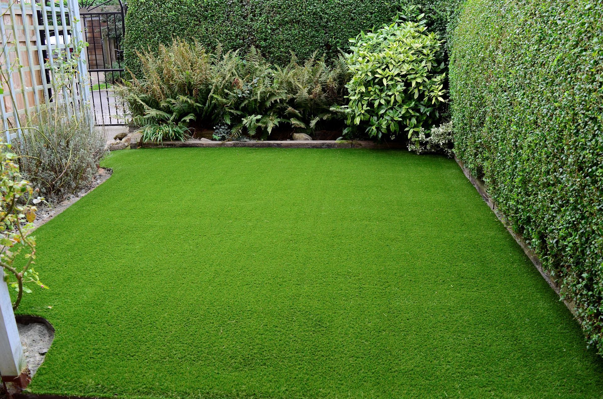 A small backyard with a lush green lawn and bushes.