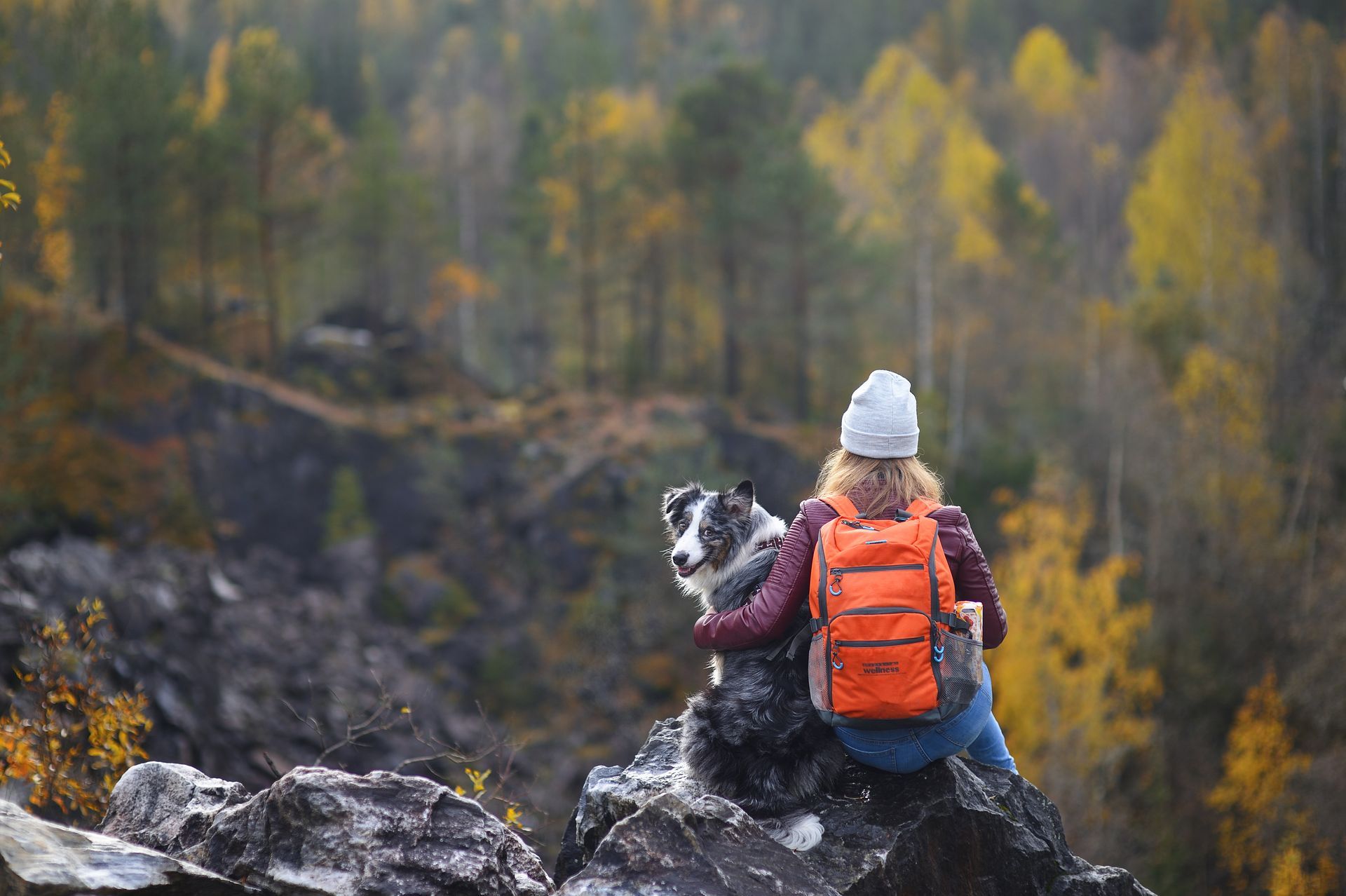 A person with an orange backpack sits on a rocky cliff beside a dog, overlooking a forest with yellow autumn leaves.