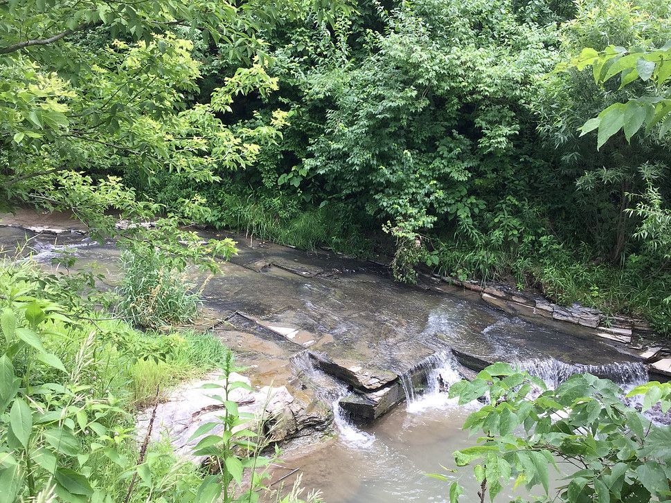 A small, shallow creek flows over a flat, rocky ledge, surrounded by lush green foliage and trees.