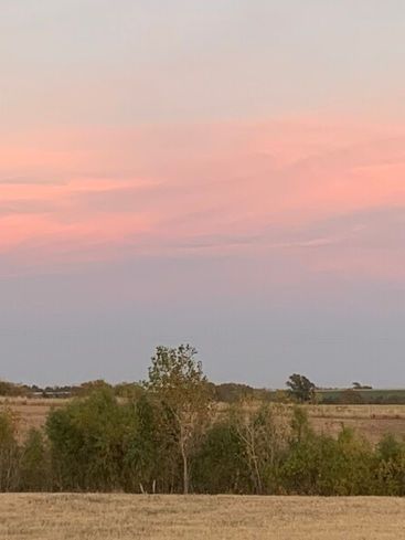 A vast, dry field and green trees beneath a soft, pastel-pink and light blue sunset sky.