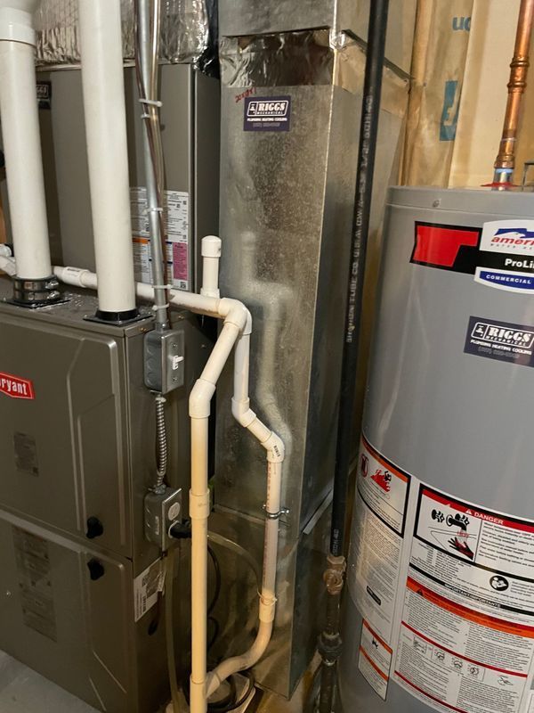Furnace and water heater in a utility room. Metal furnace and vent pipes are near a gray water heater.