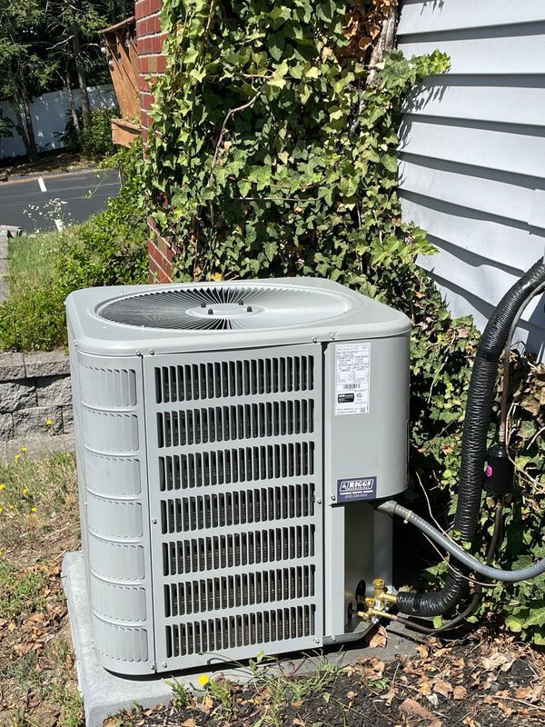 Gray air conditioning unit outside a building with ivy growing on the wall.