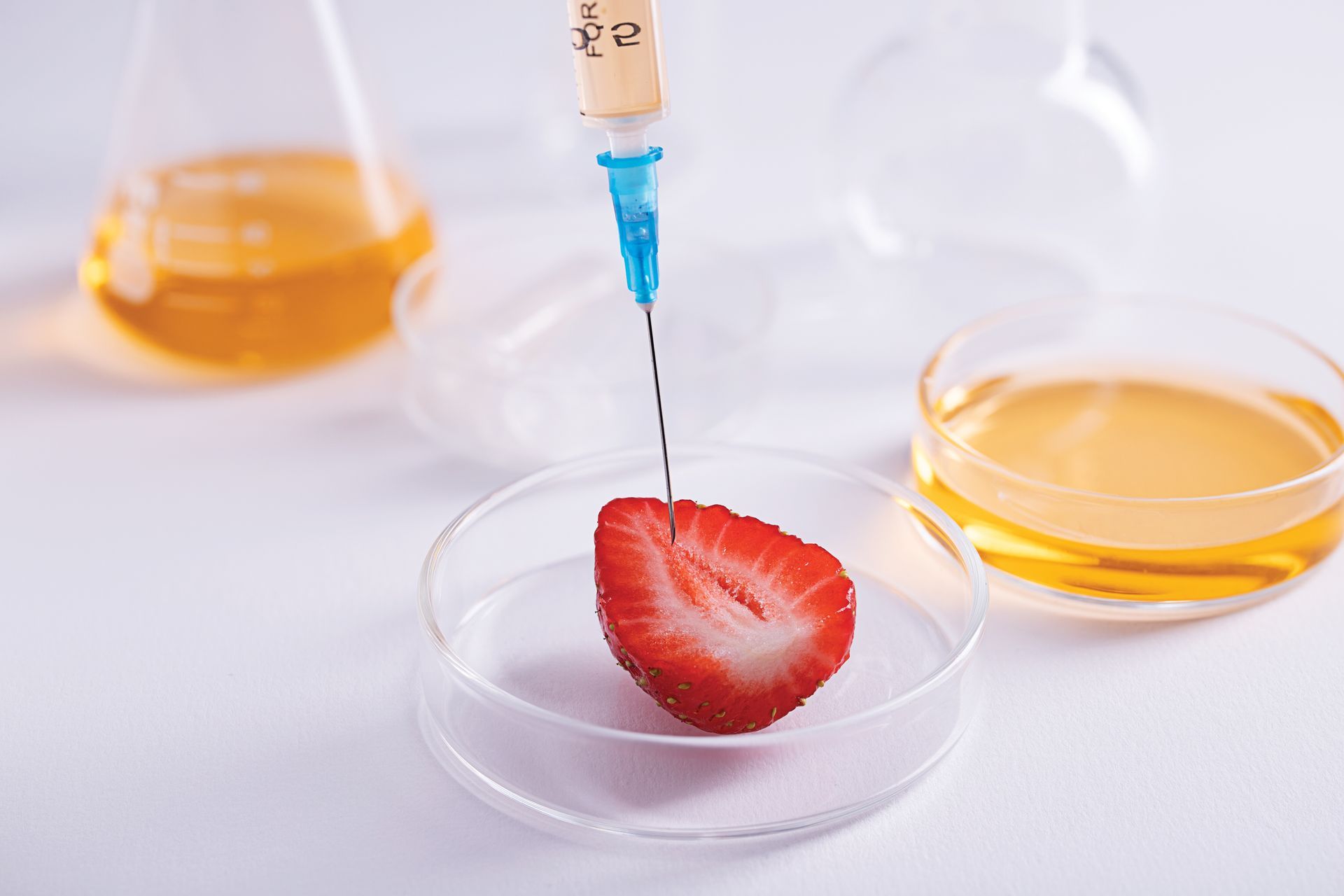 A strawberry is being injected with a syringe in a petri dish.